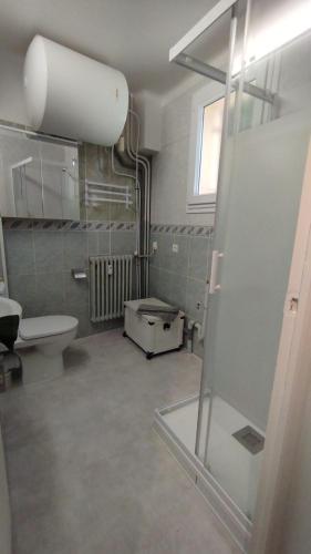La salle de bains est pourvue de toilettes et d'une porte de douche en verre. dans l'établissement Studio 1 Cannes 20' walk Palais WiFi, à Cannes