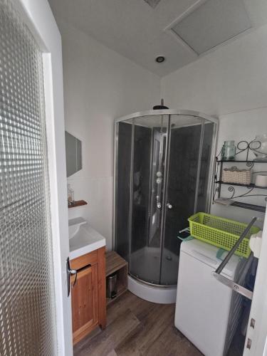 une salle de bain avec douche et lavabo dans l'établissement Le petit carrousel, à Sully-sur-Loire