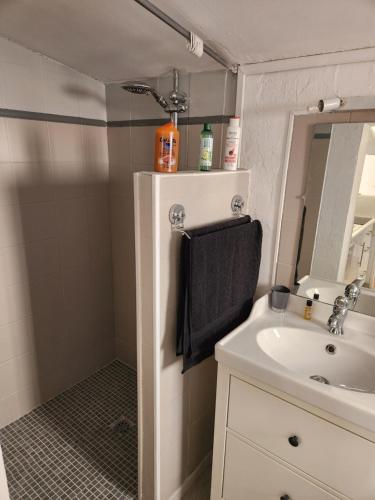 a small bathroom with a sink and a mirror at MAISON Terrasse PISCINE in Cavaillon