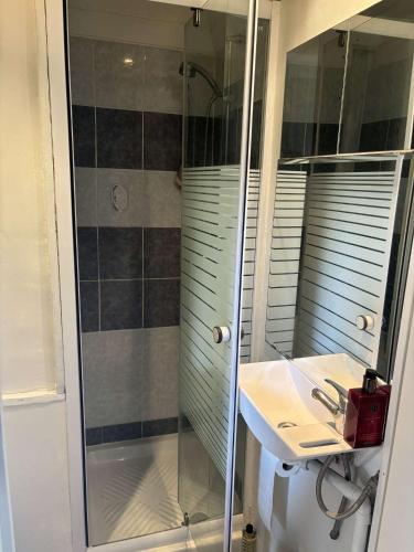 une salle de bain avec douche et lavabo dans l'établissement Chaumière d'écrivain au cœur de la Normandie, à Fiquefleur-Équainville