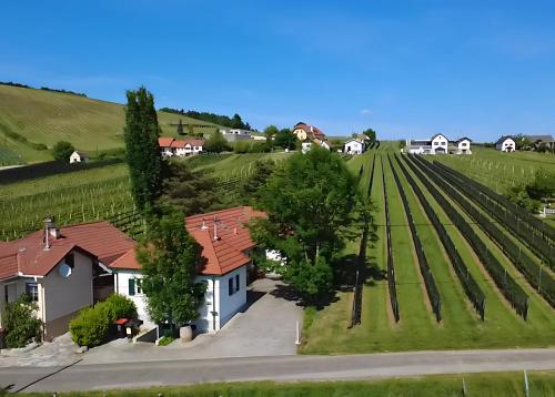 Kellerstöckl - Zur Weinreibe 1