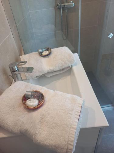 La salle de bains est pourvue d'un lavabo, d'une douche et de serviettes. dans l'établissement Studio les étoiles d'Azur, à Aspremont