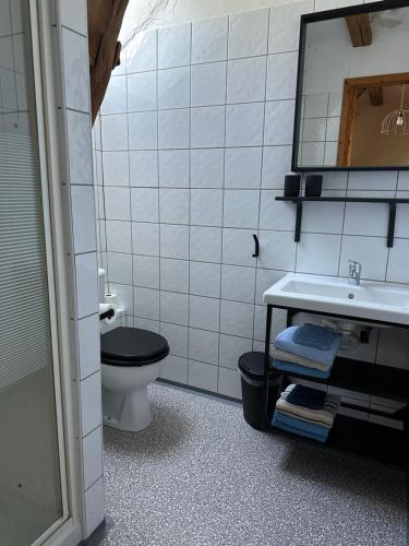 une salle de bain avec toilettes, lavabo et miroir dans l'établissement Hameau du Soleil -Hibou, à Sainte-Mondane