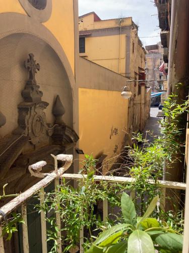 Casa Nalù Centro Storico