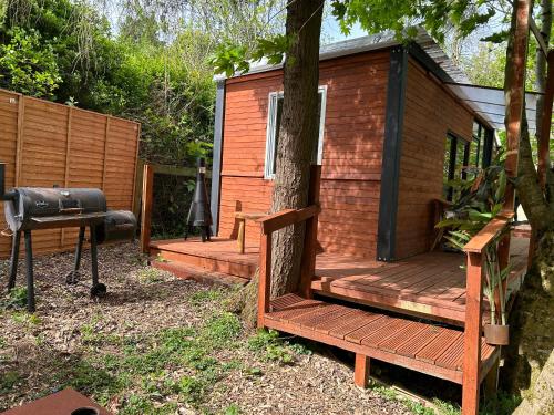 Сад в Farm stay cabin in the woods