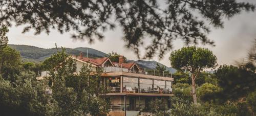 a house on top of a hill with trees at Ida Trio in Edremit
