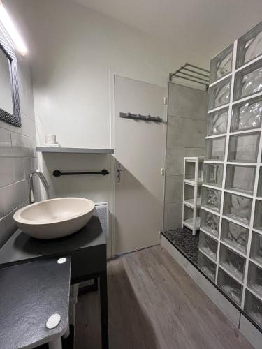 une salle de bain avec un lavabo et une douche en verre dans l'établissement Le Marina, à Saint-Jean-de-Monts