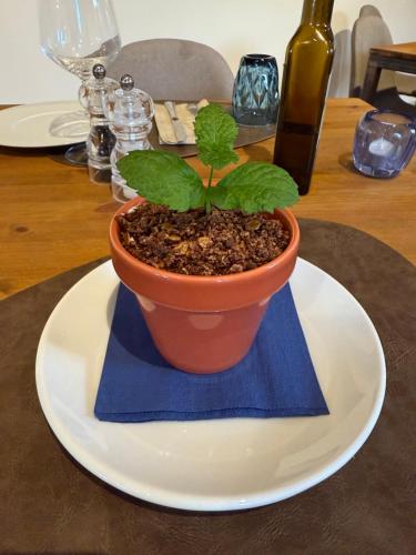 a potted plant on a plate on a table at Casa M Tuscany in Chianciano Terme