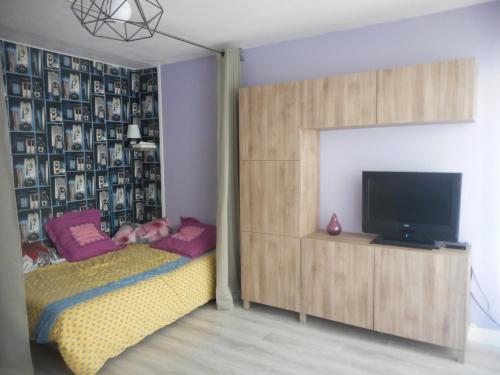 - une chambre avec un lit, une télévision et un mur dans l'établissement Centre Rive Gauche, à Palavas-les-Flots