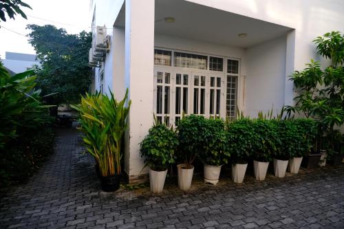 a row of potted plants in front of a building at Hoa Phat Hotel & Apartment in Ho Chi Minh City