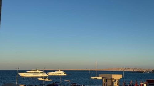 Маленький голубий кит