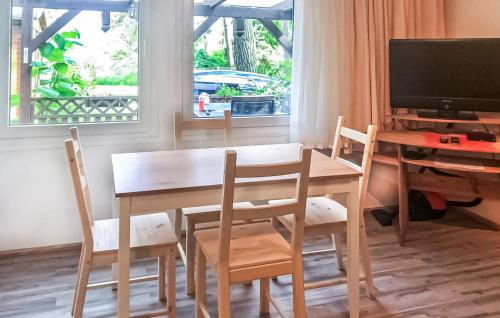TV a/nebo společenská místnost v ubytování 1 Bedroom Lovely Home In Südmüritz