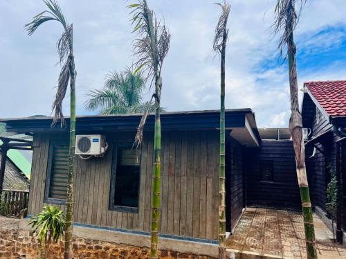 a house with palm trees in front of it at Homestay Thác Liên Khương in Ðưc Trọng