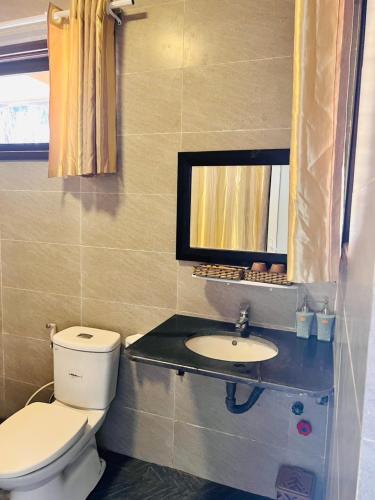 a bathroom with a toilet and a sink at Homestay Thác Liên Khương in Ðưc Trọng