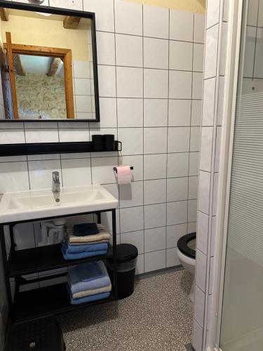 une salle de bain avec un lavabo et un miroir et des toilettes dans l'établissement Hameau du Soleil - Renard, à Sainte-Mondane