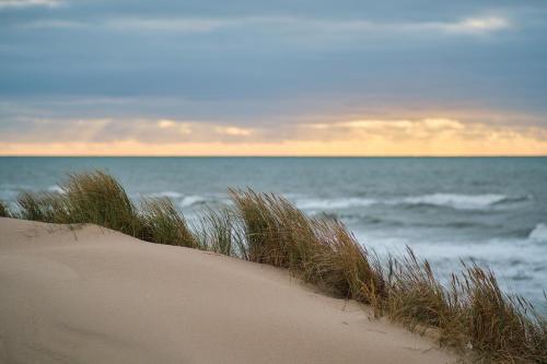a sand dune with the ocean in the background at Z' Evita in Nieuwpoort