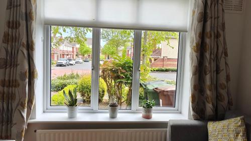 a window with potted plants sitting on a window sill at Entire Cozy home 5 mins from Dublin Airport in Swords