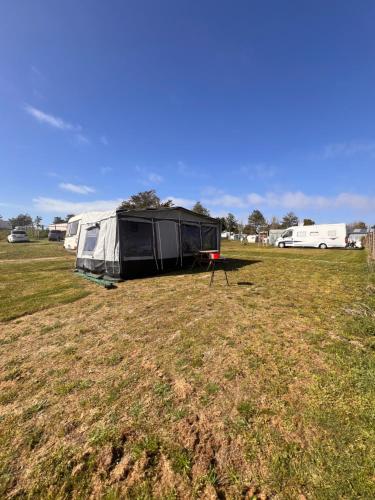 un groupe de tentes dans un champ d'herbe dans l'établissement Caravane 4 couchage, à Coudeville-sur-Mer