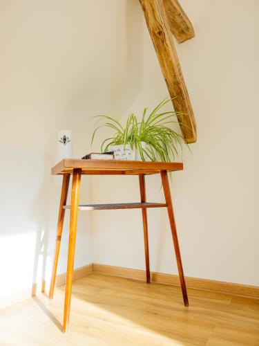 a wooden table with a plant on top of it at Přibická pohoda na jižní Moravě in Přibice