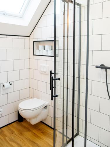 a bathroom with a toilet and a glass shower door at Přibická pohoda na jižní Moravě in Přibice