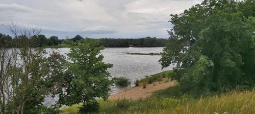 a view of a river with trees and a beach at Wohnung In Jameln Mit Garten, Grill Und Terrasse in Jameln