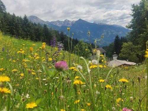 a field of flowers with mountains in the background at Chalet Waldhof in Flattach