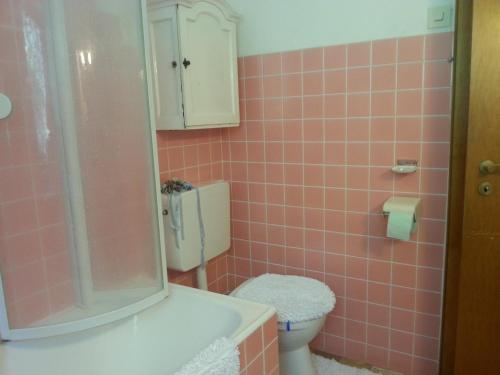 a pink tiled bathroom with a toilet and a shower at Ferienhaus Mit Einer Umwerfenden Panoramaaussicht in Glotzdorf