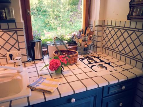 a kitchen with a counter with flowers and a window at Ferienhaus Mit Einer Umwerfenden Panoramaaussicht in Glotzdorf