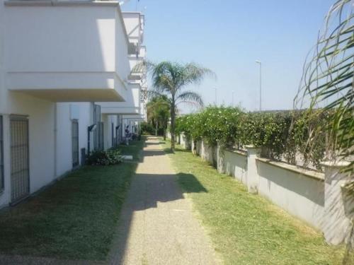 a path between buildings with palm trees and a building at Ferienwohnung In Torre Mozza Mit Terrasse in Torre Mozza