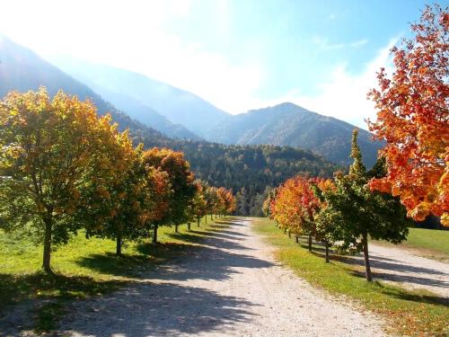 a road lined with trees with mountains in the background at Ferienwohnung Haus Melita In Feistritz Ob Bleiburg in Feistritz ob Bleiburg
