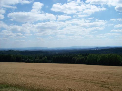 a large open field with trees in the background at Fewo Siebert in Bad Brambach