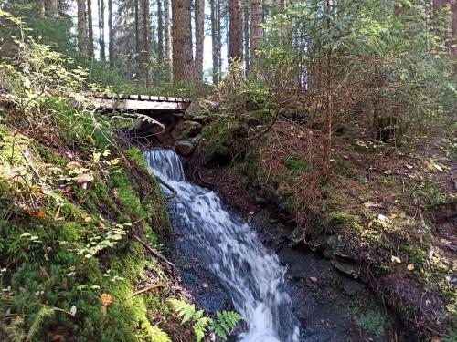a waterfall in a forest with a wooden bridge at Fewo Siebert in Bad Brambach