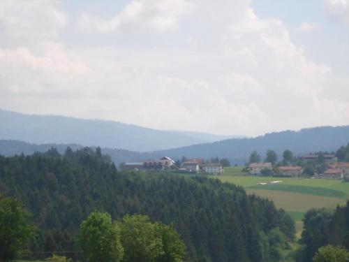 a view of a valley with houses and trees at Ferienwohnung Rachel Mit Herrlichem Ausblick in Rinchnach