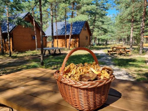 Fotografie z fotogalerie ubytování Leśne ABC v destinaci Borsk