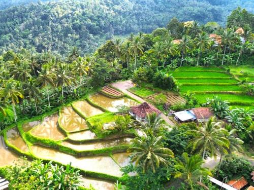 an aerial view of a resort with palm trees at Pondok Is Oke Villa Scenic View in Banyuwangi