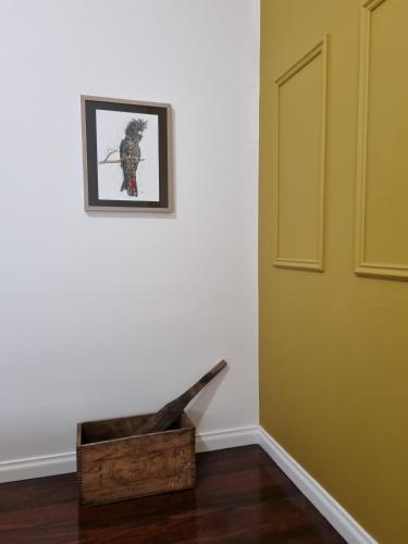 Φωτογραφία από το άλμπουμ του Mayfield House Collie σε Collie
