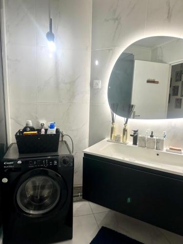une salle de bain avec une machine à laver et un lavabo dans l'établissement Apartment Reims, à Reims