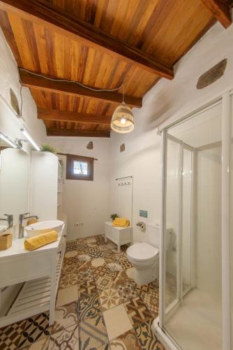 a bathroom with a toilet and a sink and a shower at Casa Rural - Cottage Bentayga in Tejeda