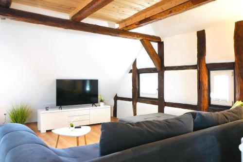 a living room with a blue couch and a tv at Altstadt Apartment V- Studio-3 Personen- Waschmaschine- Parkplatz in Wolfsburg