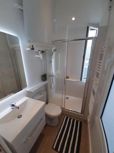 トゥルヴィル・シュル・メールにあるTerra costaのトイレと洗面台のある小さなバスルーム