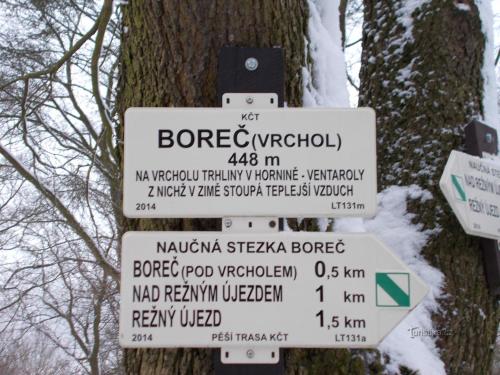 a bunch of street signs in front of a tree at Chaloupka u Lovoše in Velemín