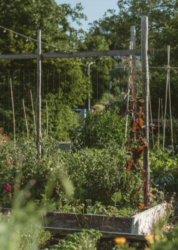 a garden with a fence and some plants at Zwier, de Vrijhaven in Vinkeveen