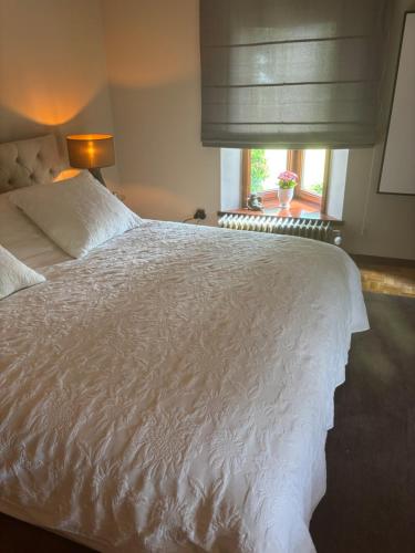 a white bed in a bedroom with a window at Sophia Rooms 14 in Maasmechelen