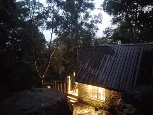 Fotografie z fotogalerie ubytování The Rain Forest v destinaci Gulawita