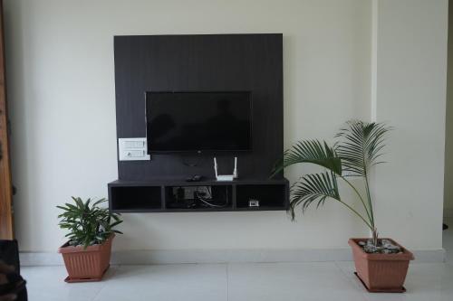 a flat screen tv on a wall with two plants at Kalgadde in Chikmagalūr
