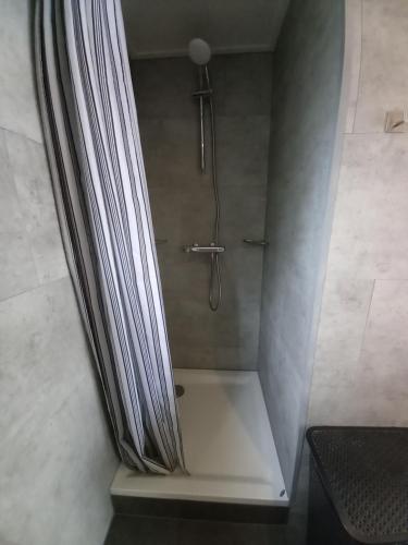 a shower with a shower curtain in a bathroom at Chalet "Uit Zicht" in Putten