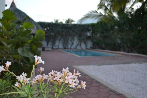 a garden with a swimming pool and some flowers at Tropical villa Curoyal near the beach in Jan Thiel