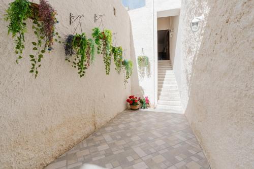 an alley with potted plants on a wall at La Vanedda in Partanna