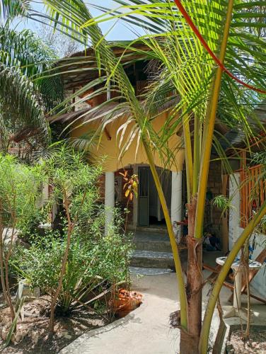 a house with a bunch of palm trees in front of it at Chez Bethy Jungle et Océan in Abene