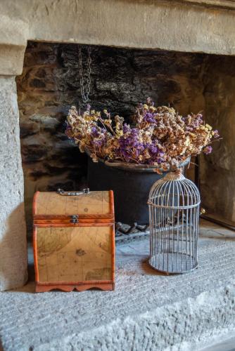 a plant in a bird cage next to a flower pot at La Locanda Della Campanara in Santa Sofia